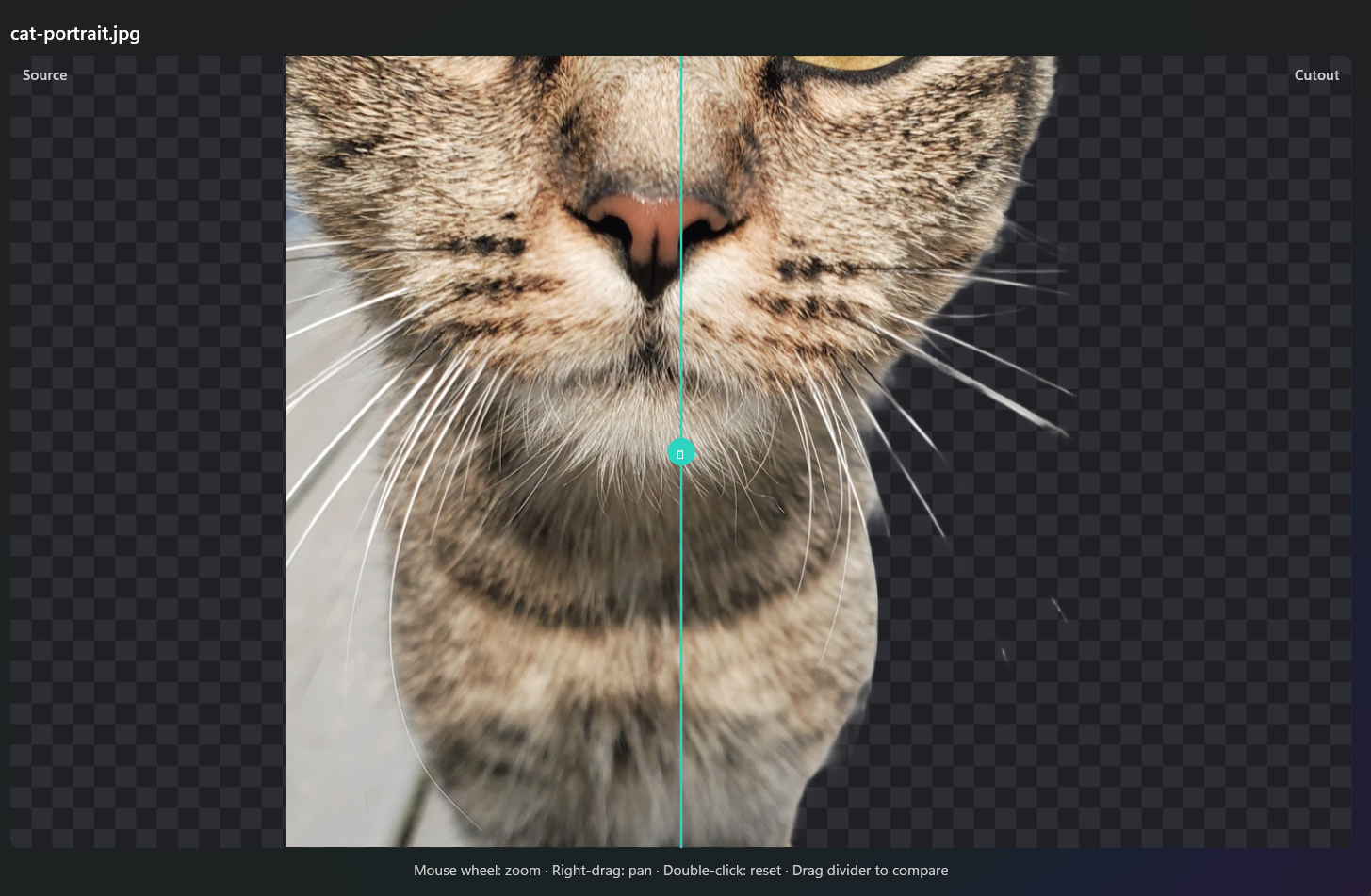 Fine edge preview showing cat fur and whiskers on transparent checkerboard